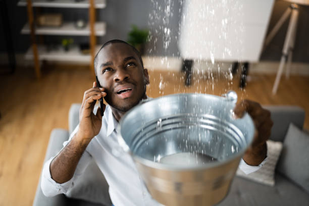 Best Water damage contractors near me  in North Manchester, IN