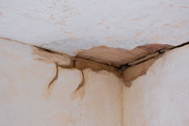 North Manchester, IN Water damage restoration Pros